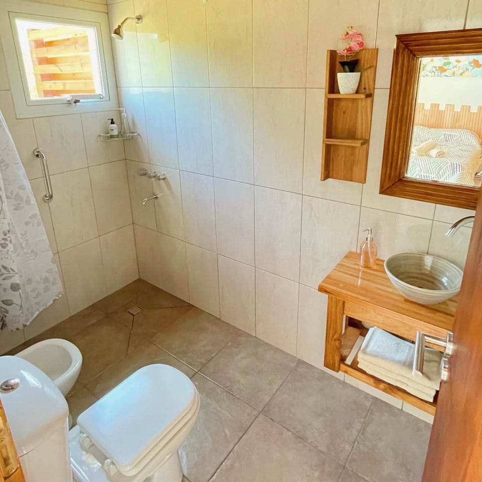 Shower, Toilet, Bathroom, bidet