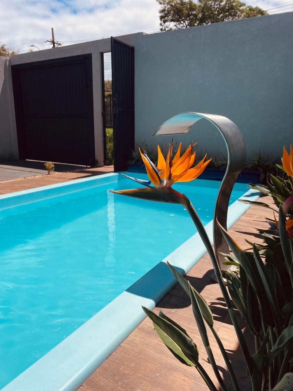 Swimming pool, Swimming pool