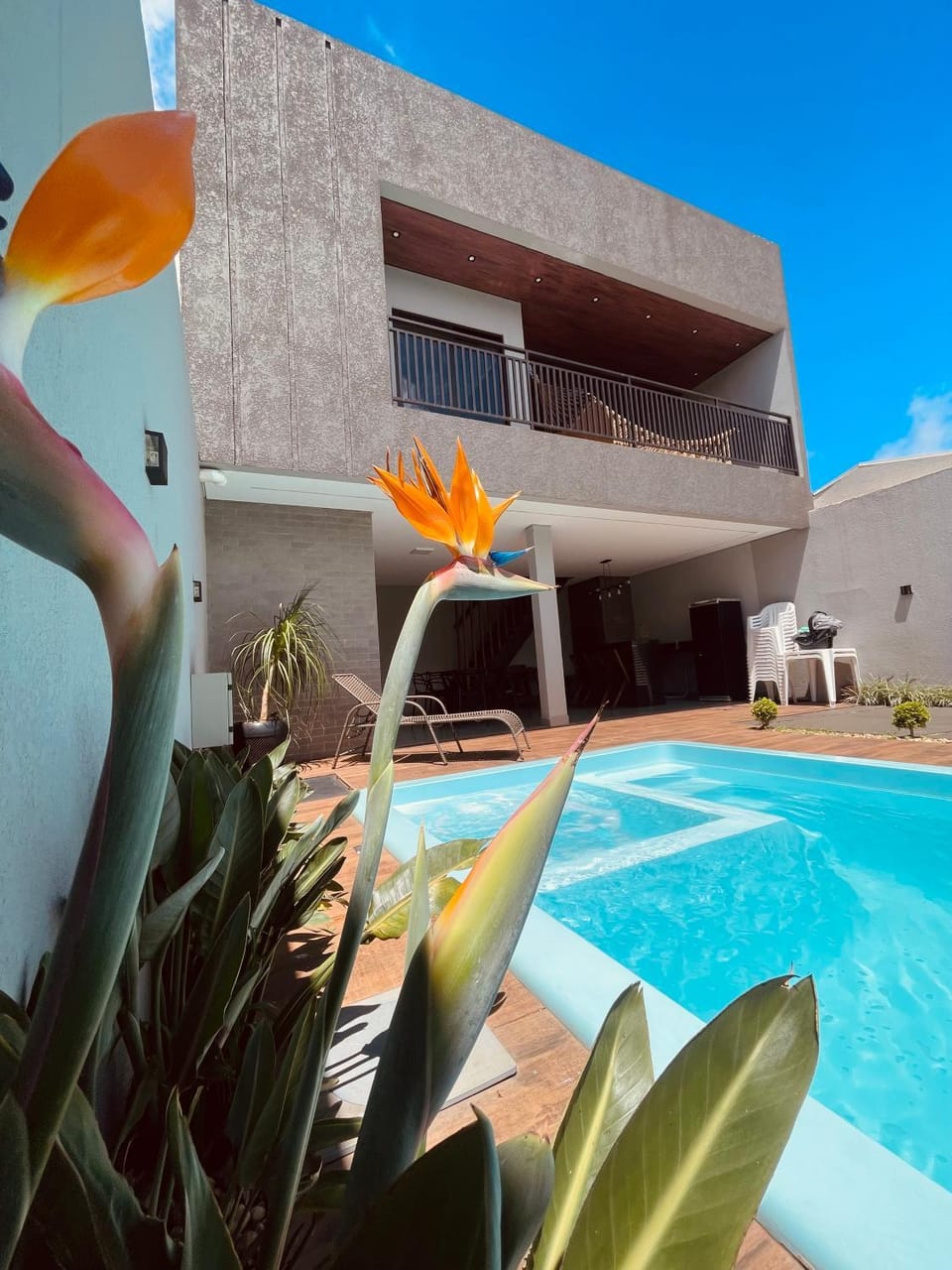Patio, Day, Pool view, Swimming pool, Swimming pool, sunbed