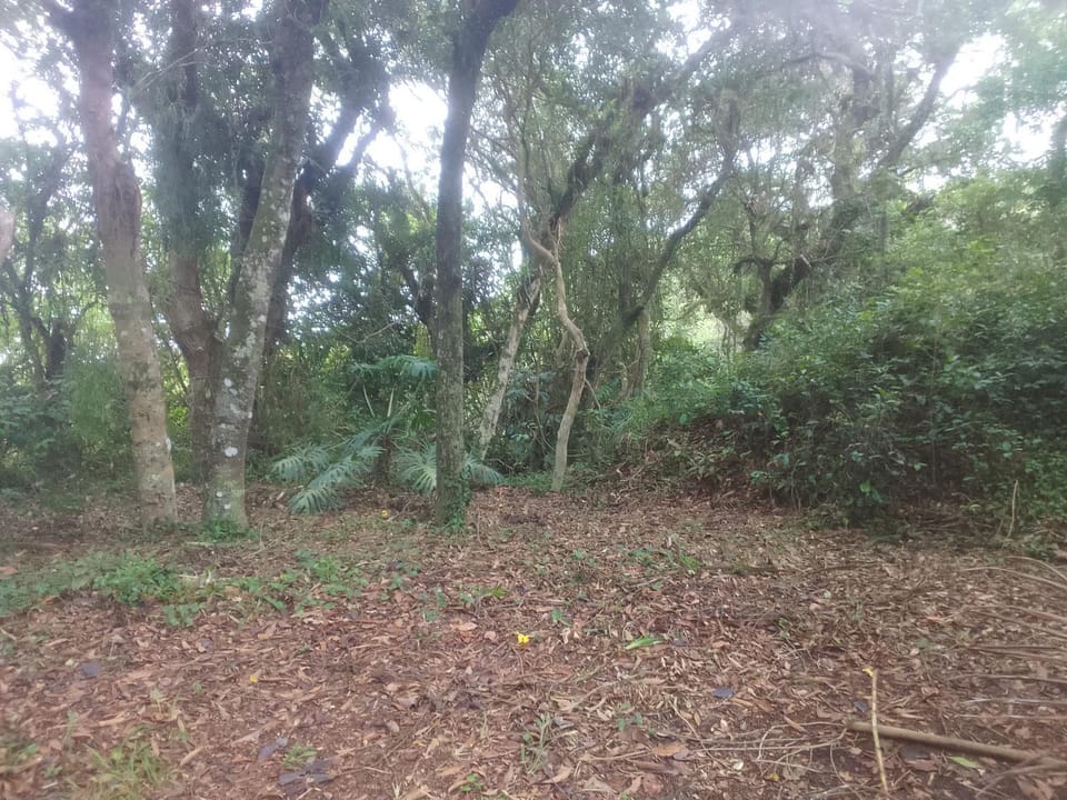 Ibira Camping Campground/ 
RV Resort in Imbituba