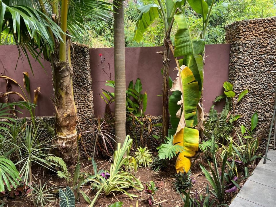 Jungle of Peace Guesthouse Apartment in Central Visayas