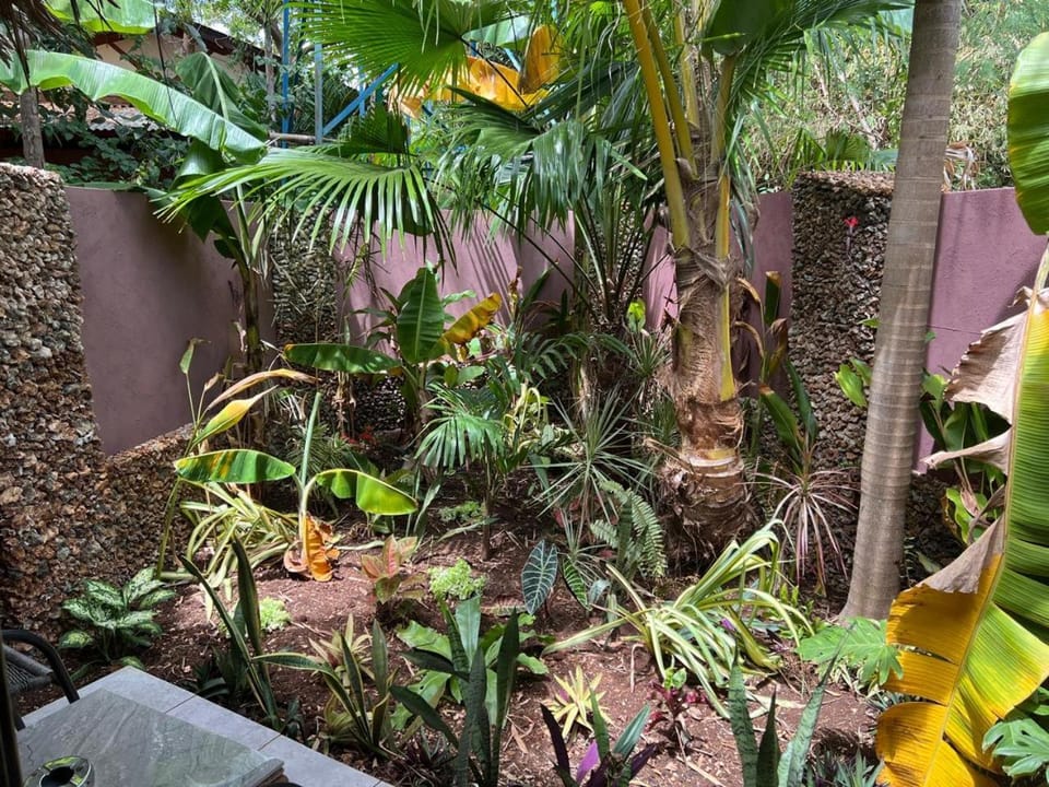 Jungle of Peace Guesthouse Apartment in Central Visayas