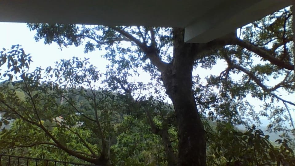 Green Wood Range Bed and Breakfast in Gangawatakorale