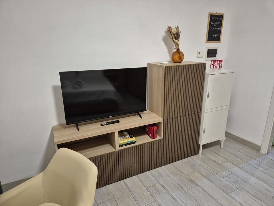 TV and multimedia