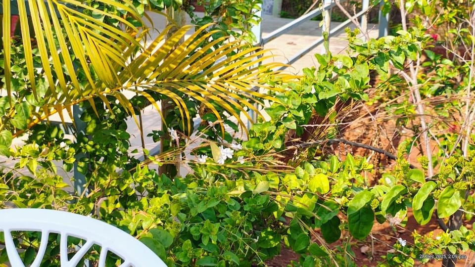 Hirkani Farm - Farm stay, Garden & Sunset Views Campground/ 
RV Resort in Maharashtra