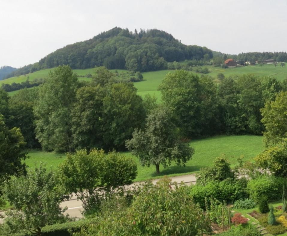 Mountain view