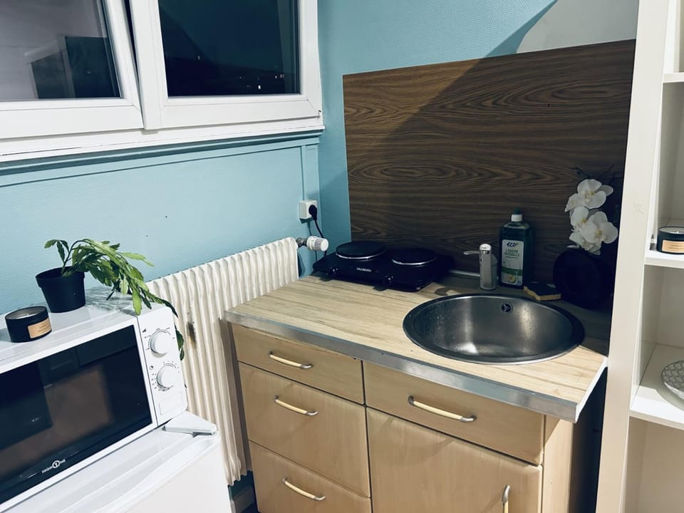 Le petit bien a strasbourg centre Apartment in Strasbourg