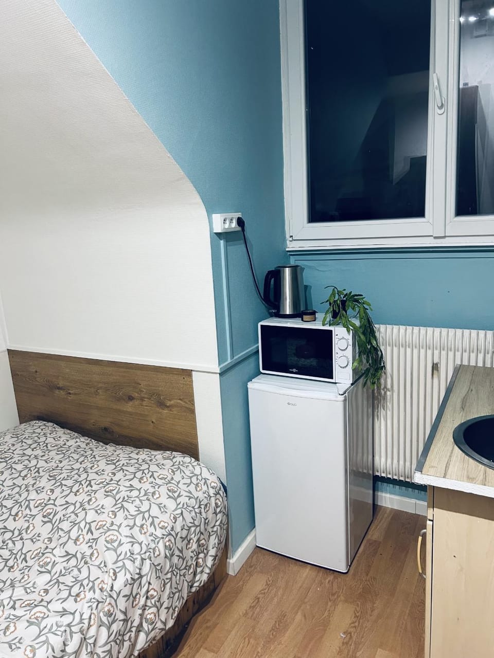 Le petit bien a strasbourg centre Apartment in Strasbourg
