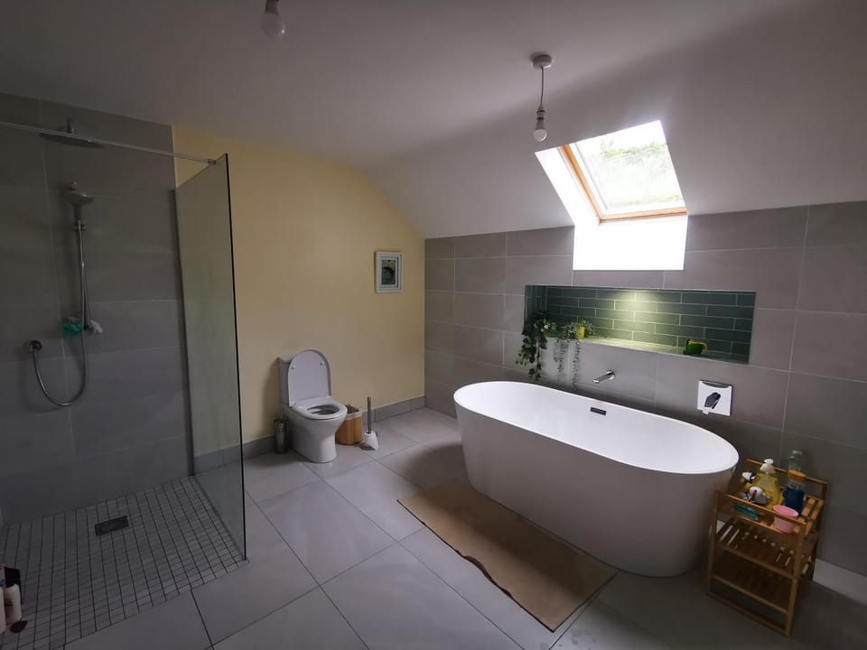 Shower, Toilet, Bathroom, Bath