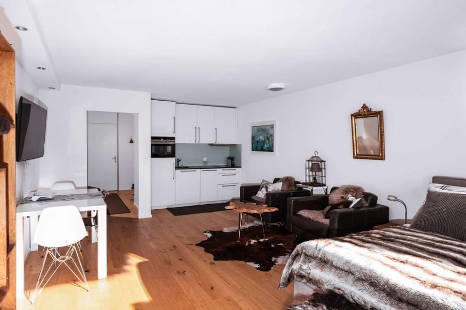 Titlis Studio Engelberg with Balcony great View Apartment in Nidwalden