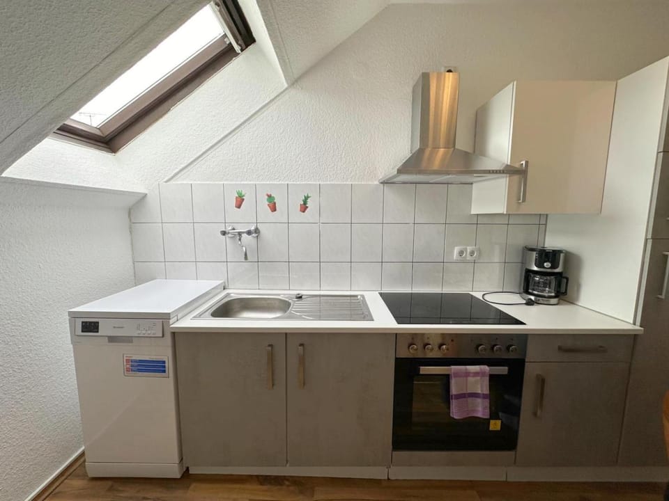 Kitchen or kitchenette, dishwasher, stove