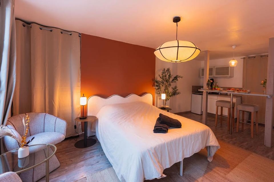 Le Saint-Lambert - Cosy appartement en plein coeur de Troyes Apartment in Troyes