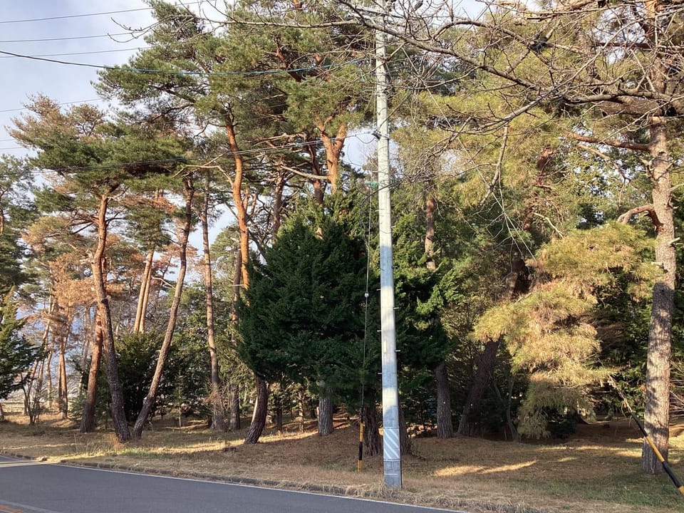 森のハイジ Bed and Breakfast in Nagano Prefecture