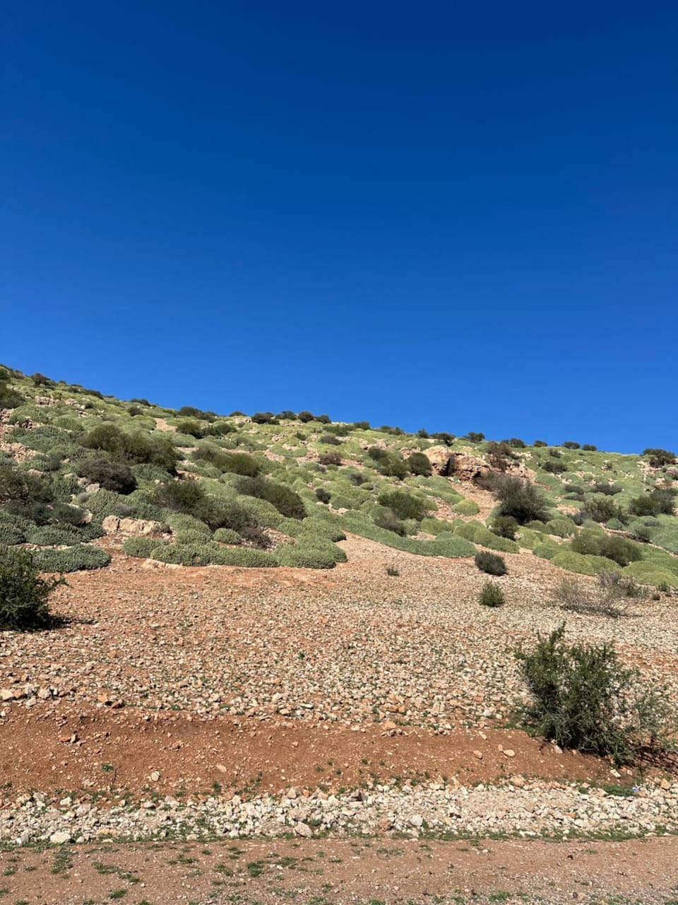 Day, Natural landscape
