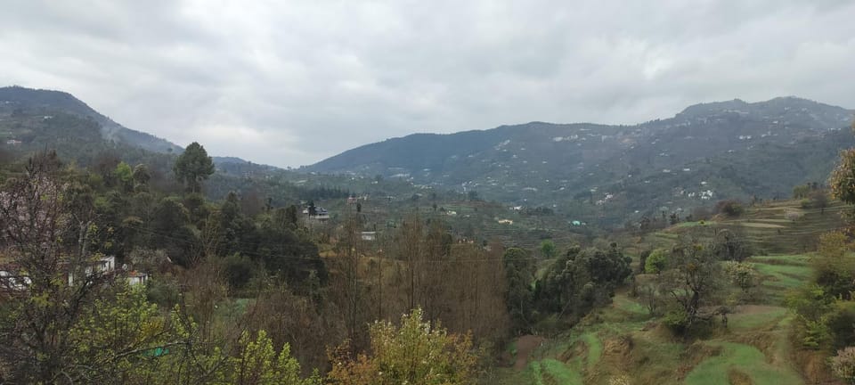 Mount view guest house Bed and Breakfast in Uttarakhand
