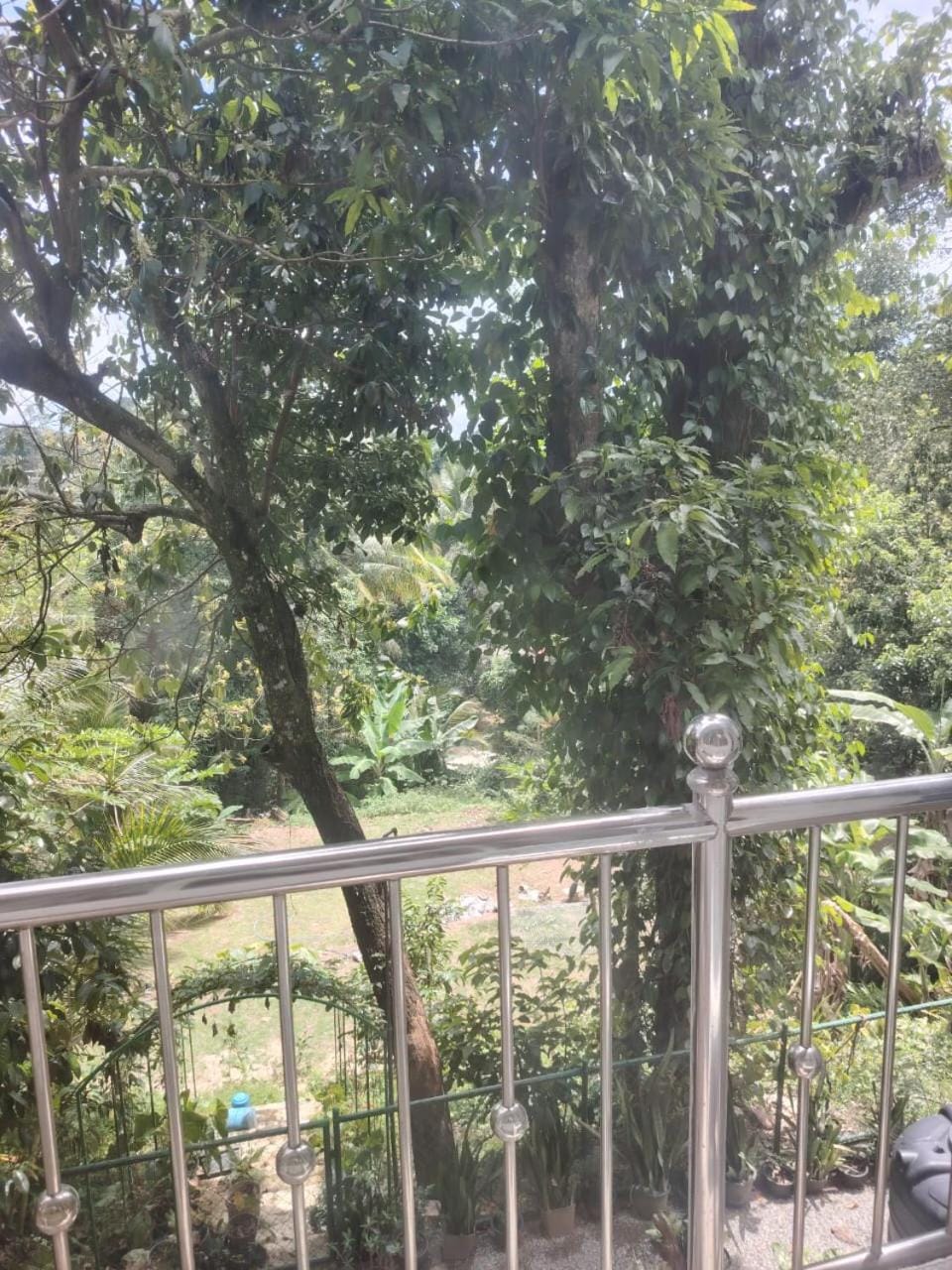 View (from property/room), Garden view