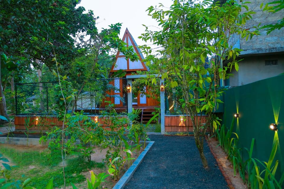Property building, Garden, Garden, Garden view