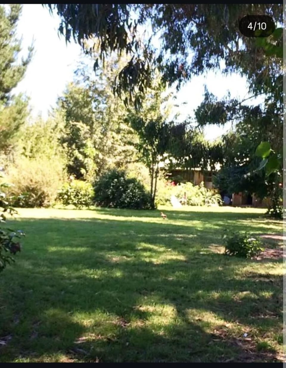 Relajo en plena naturaleza Apartment in Pucon