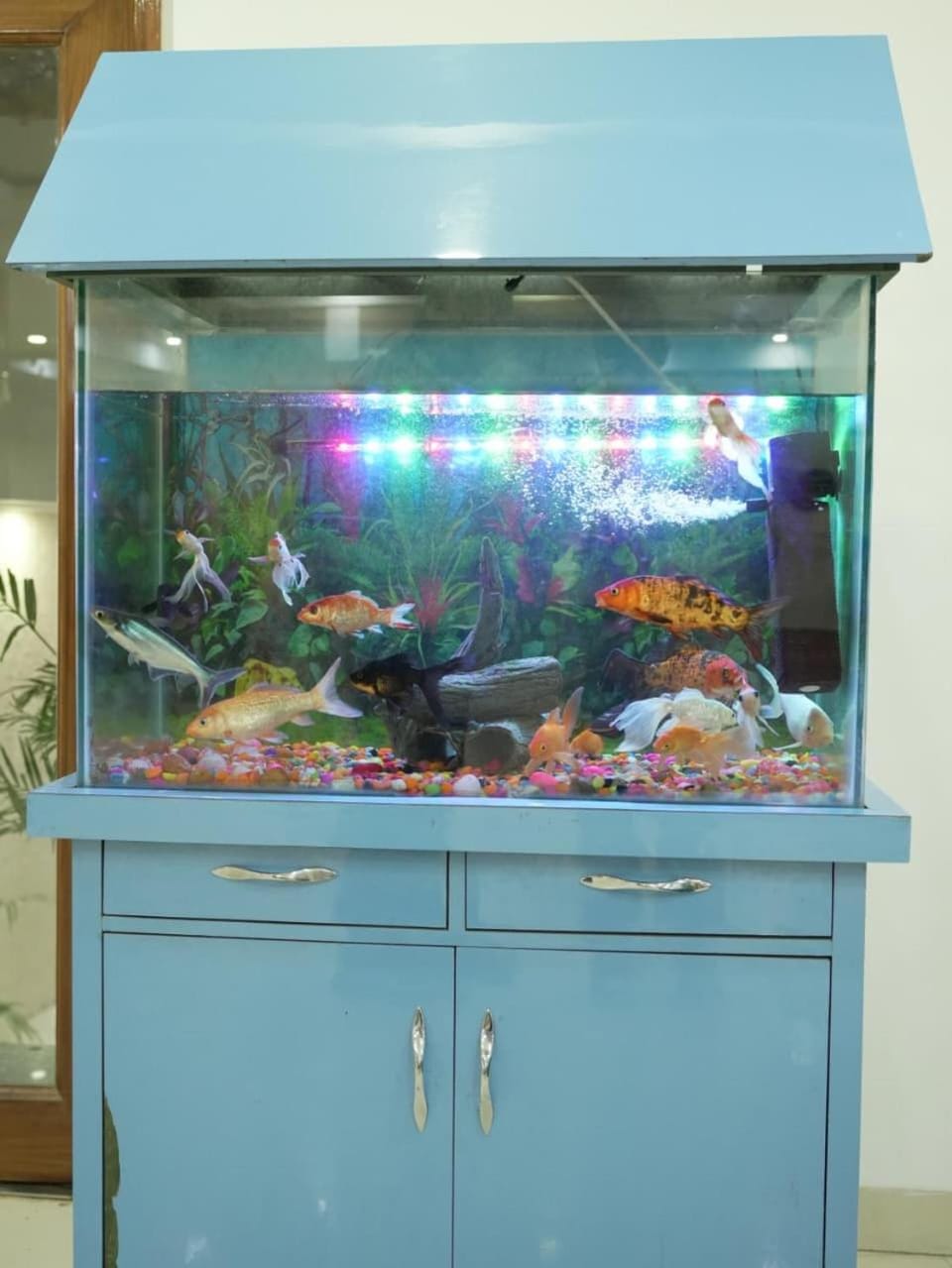 Lobby or reception