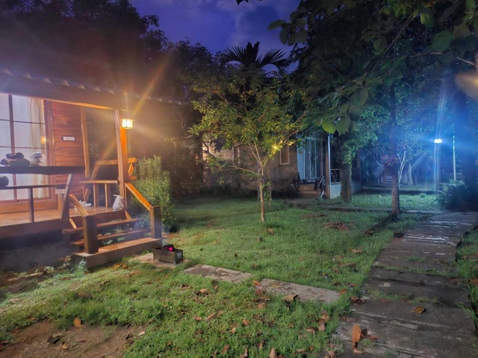 Night, Natural landscape, Garden view