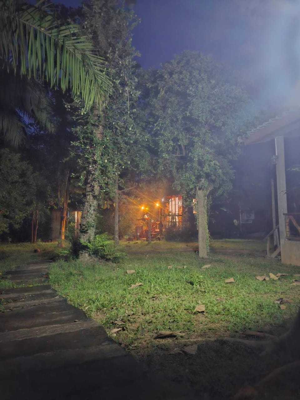 Night, Garden