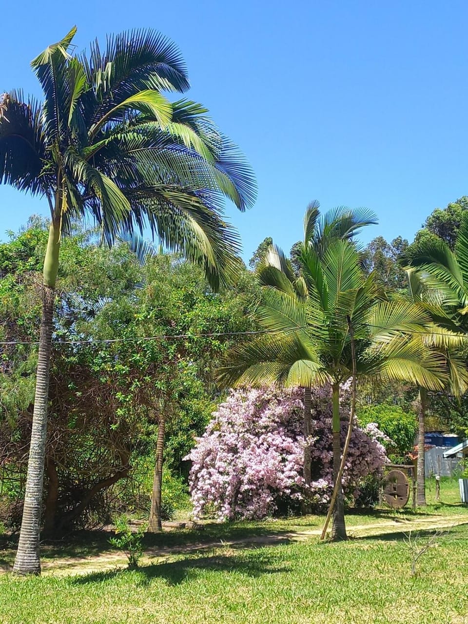 Chalés Moinho Chalet in State of Rio de Janeiro