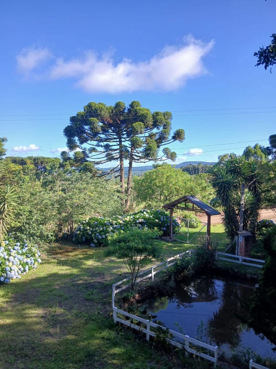 Garden view