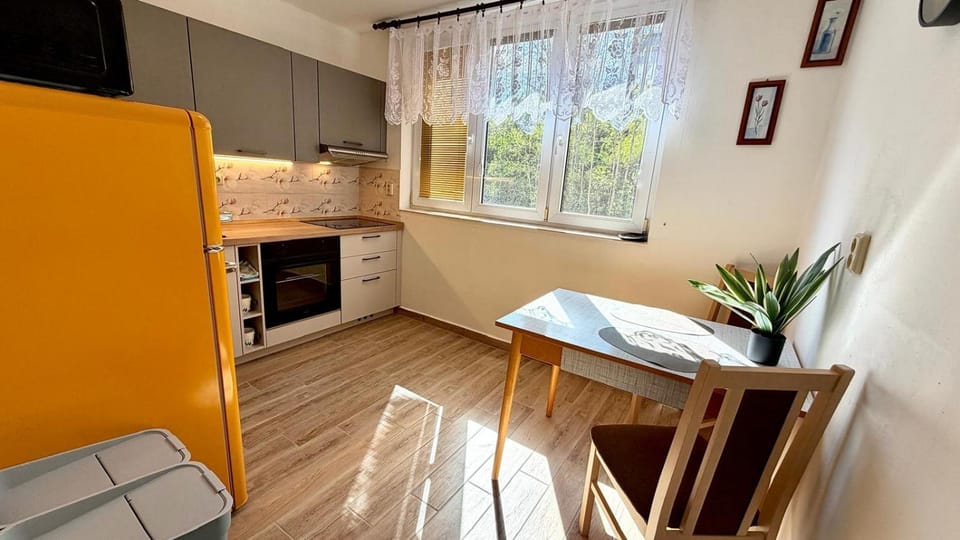 Šumavsky rodinný apartmán pod SKI Zadov 70m2 Apartment in South Bohemian Region