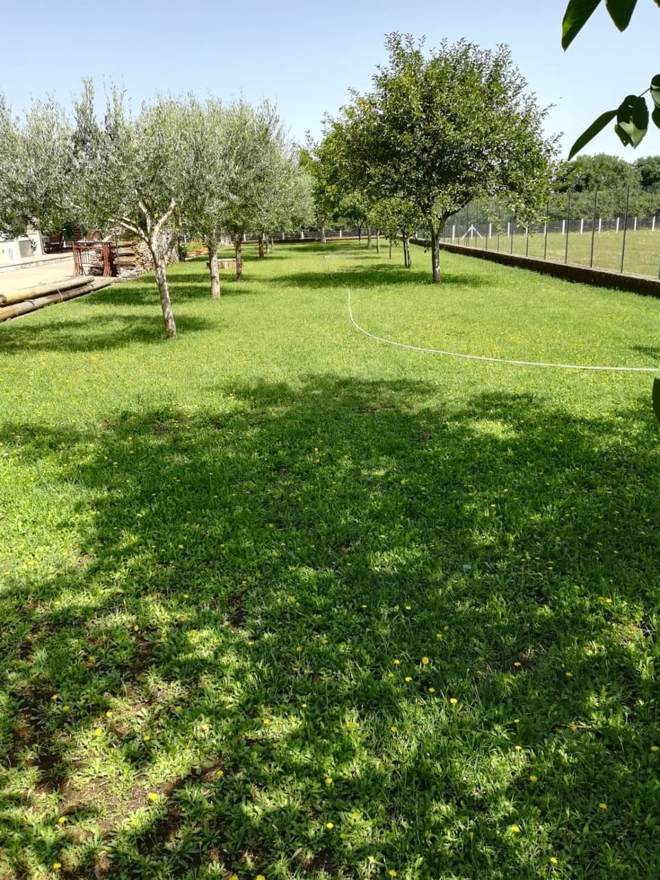 La Casa di Ori Apartment in Lazio