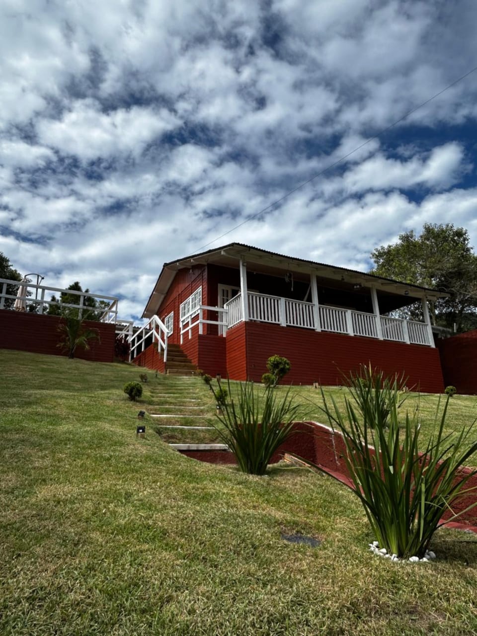 Day, Garden, Garden view