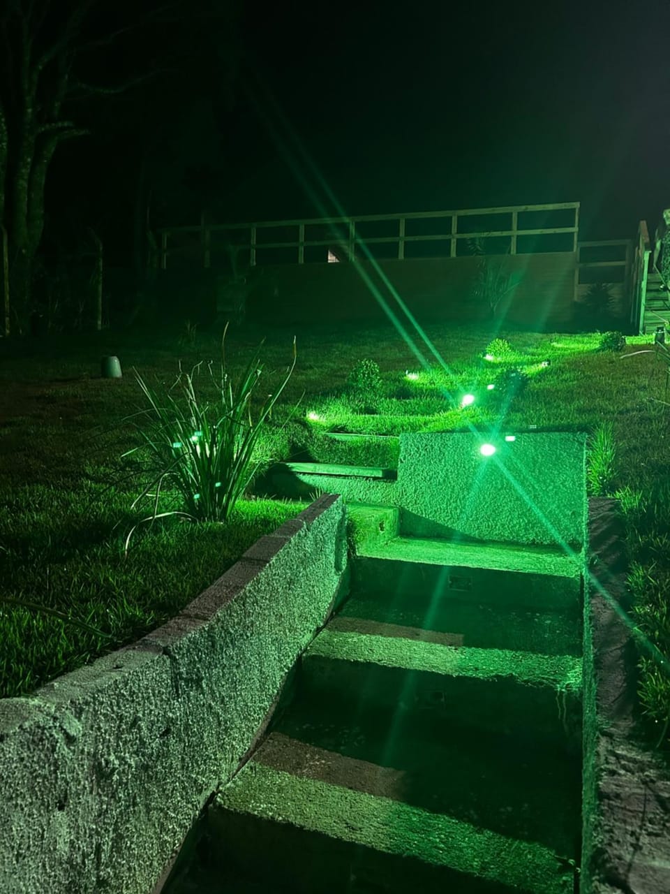 Night, Garden, Garden view
