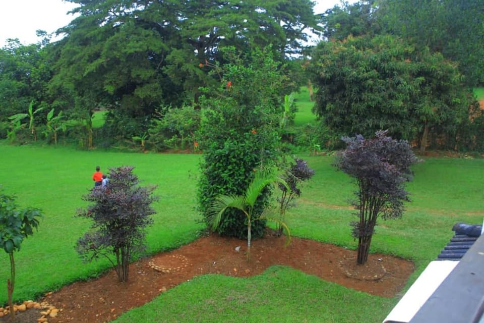 Egg Botanical View Motel in Uganda