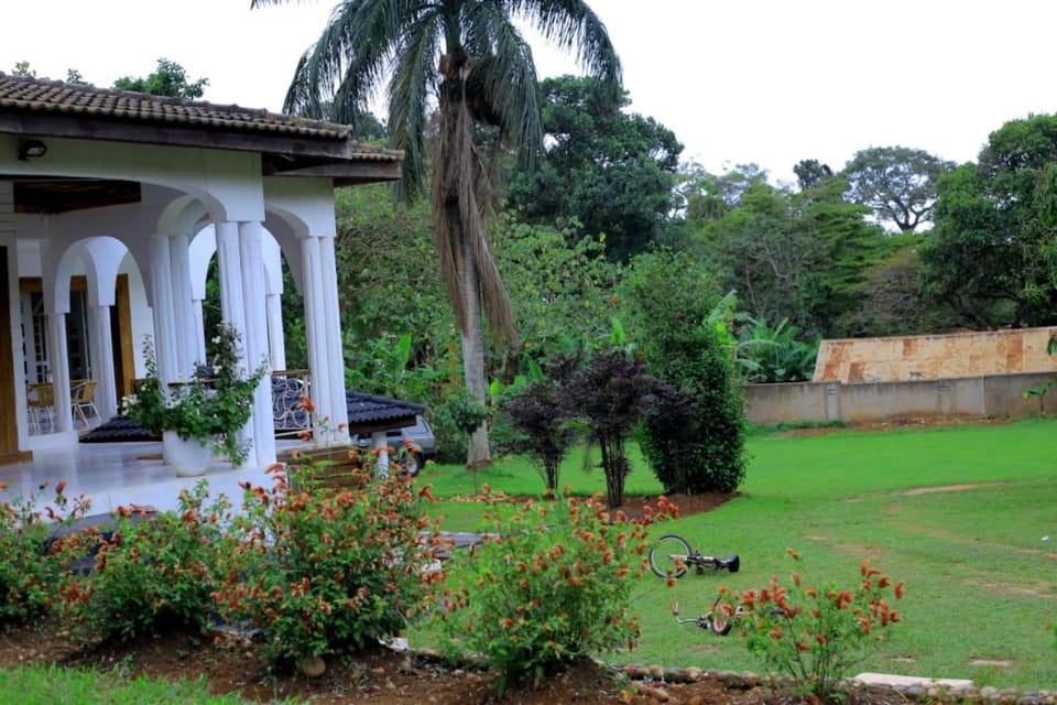 Egg Botanical View Motel in Uganda