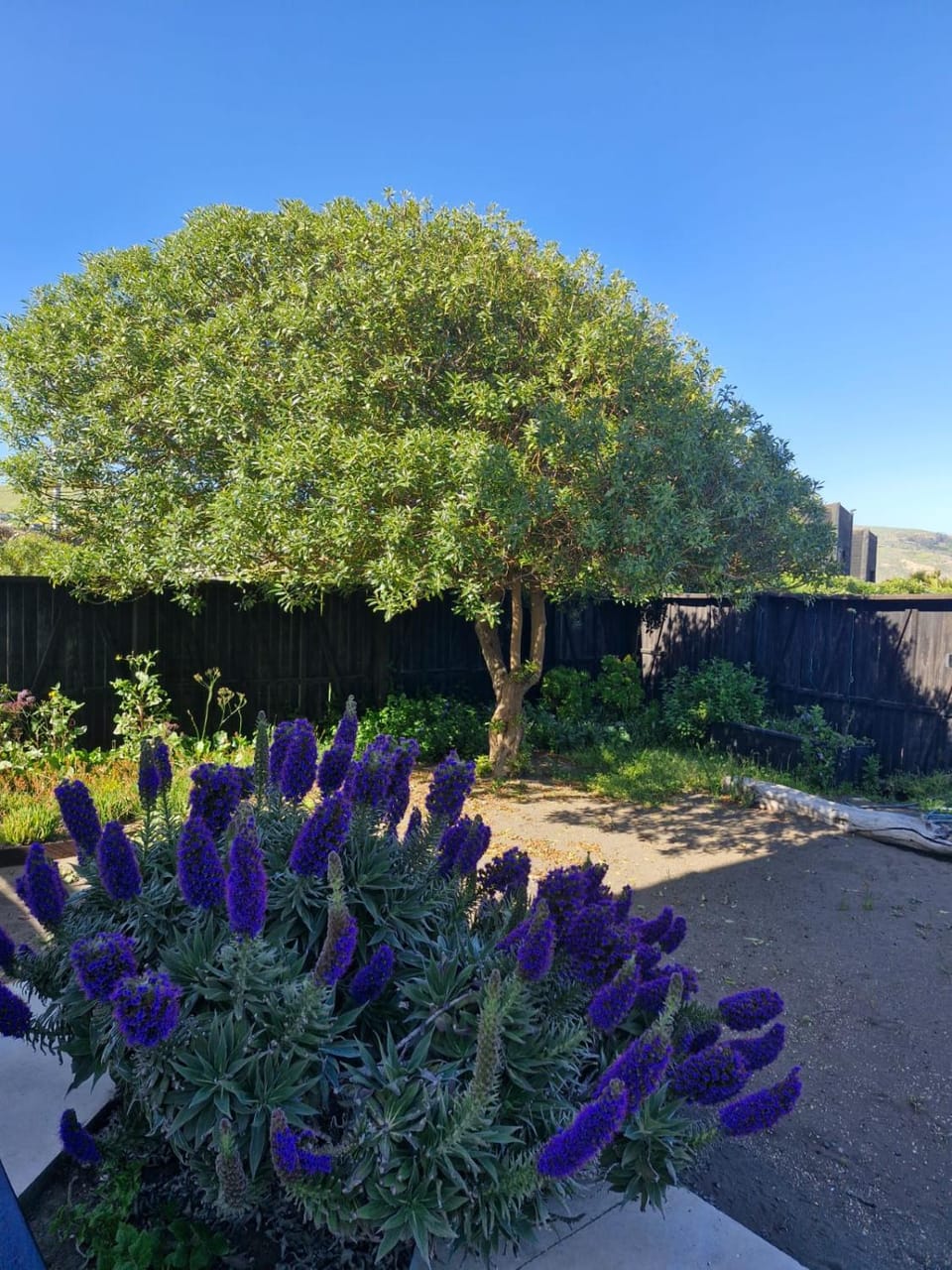 Off site, Garden