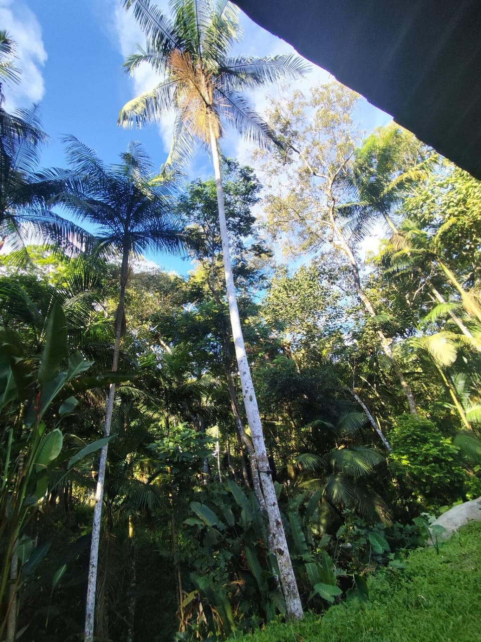 Chácara da Vó na Natureza House in Mogi das Cruzes