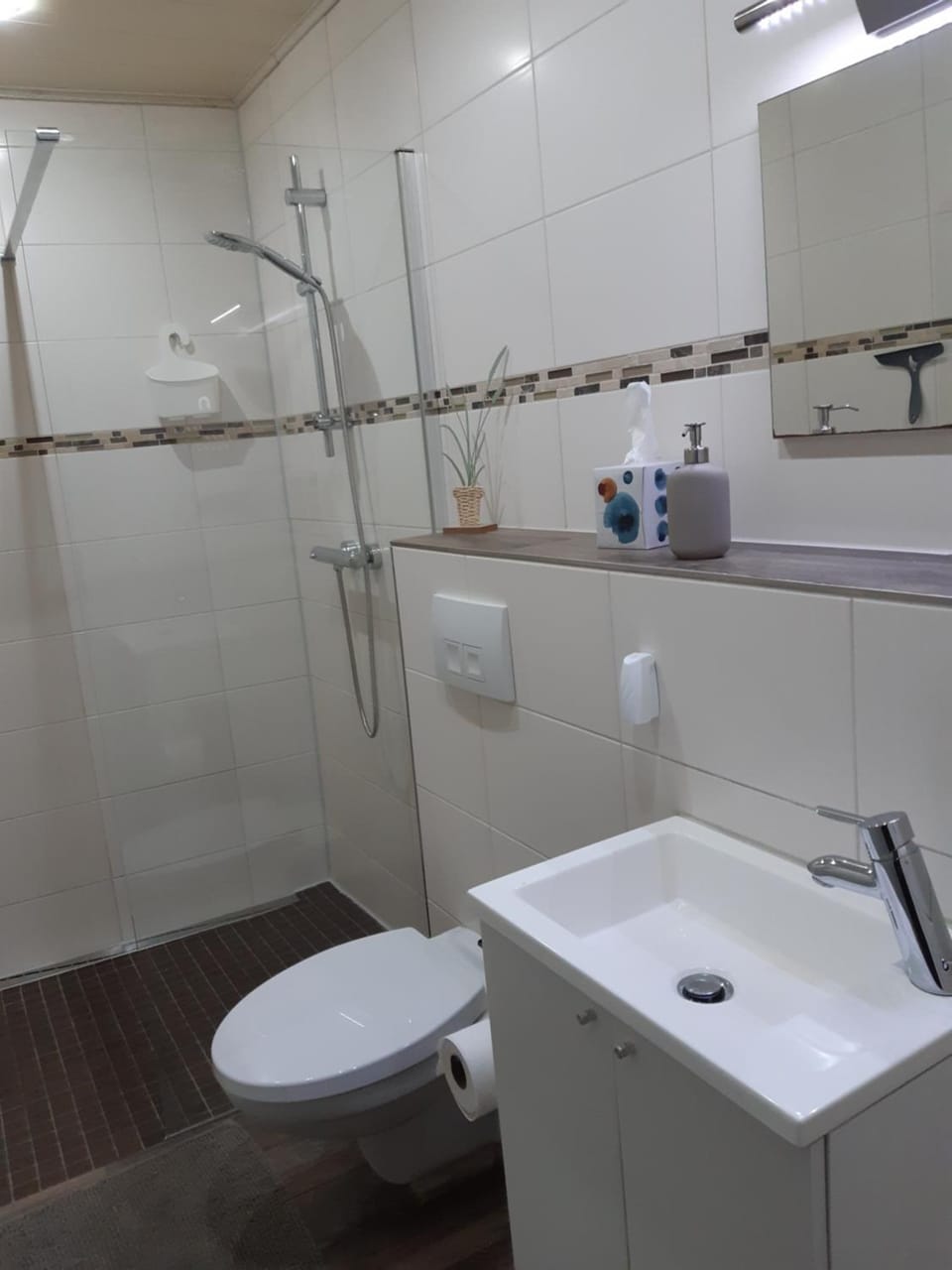 Shower, Toilet, Bathroom