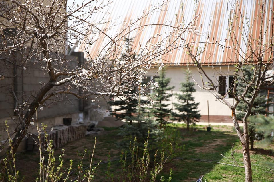 Spring, Day, Garden view
