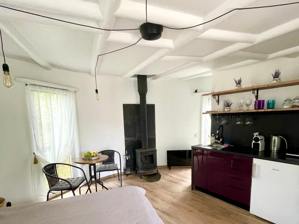 Round house Apartment in Latvia