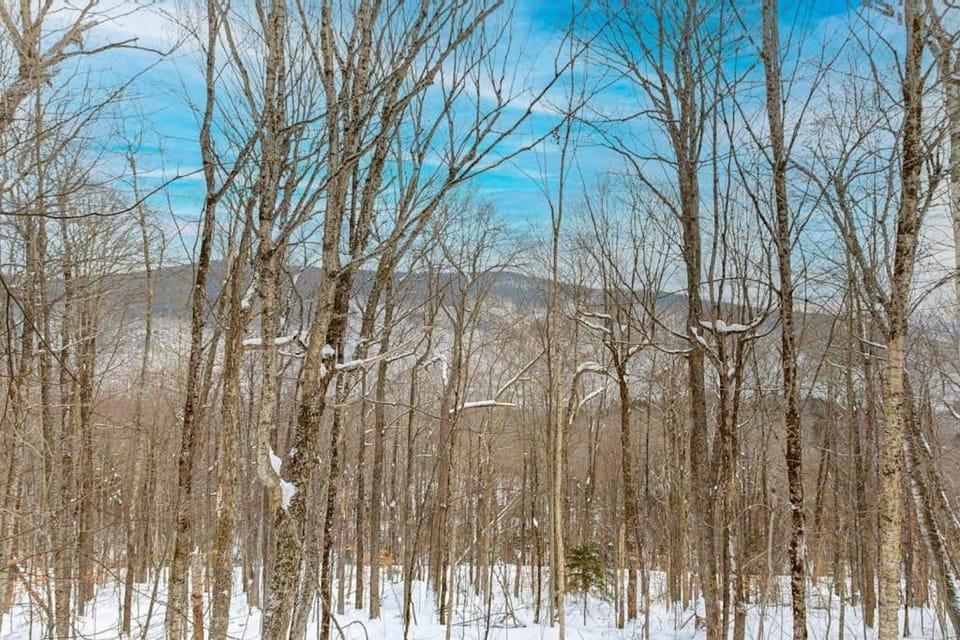 Snowy Day Chalet House in Killington