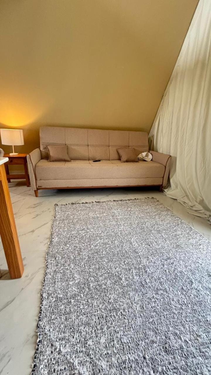 Bed, Living room, Seating area