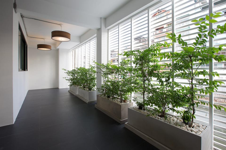 Patio, Balcony/Terrace