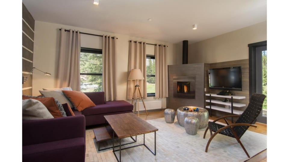 Day, Garden, TV and multimedia, Living room, Seating area, fireplace, furniture