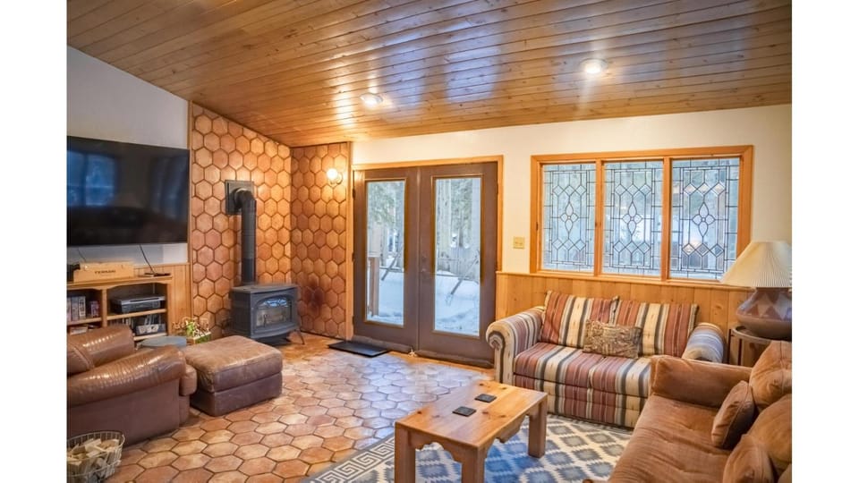 Day, TV and multimedia, Living room, Seating area, fireplace, furniture