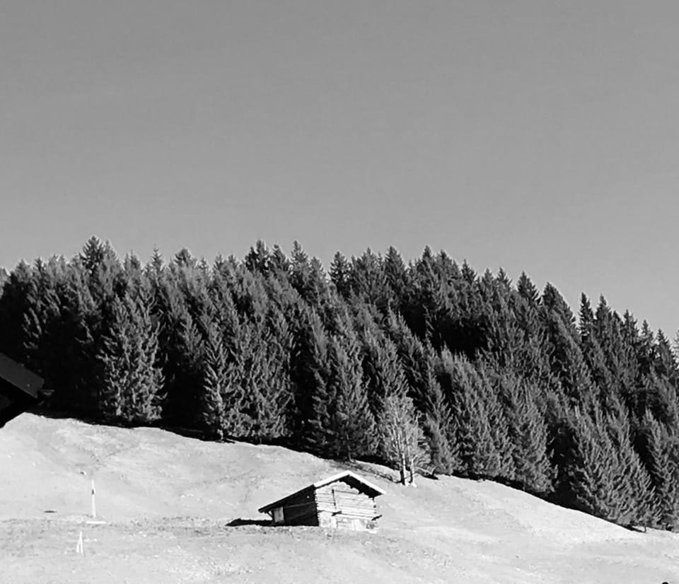 Alpenheimat 1658 Apartment in Oberstdorf