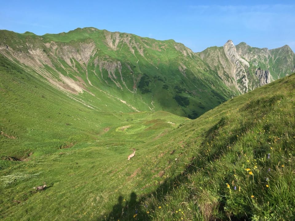 Natural landscape