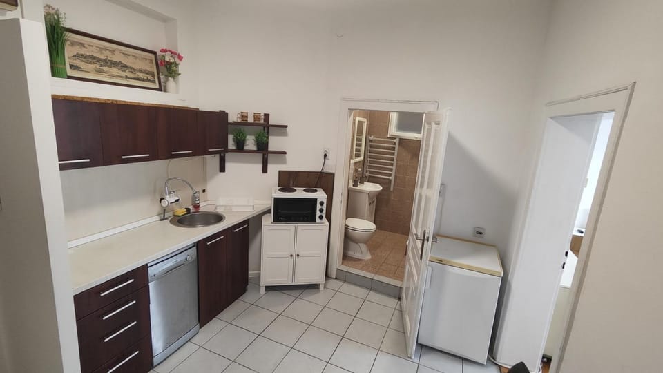 Kitchen or kitchenette, dishwasher, oven