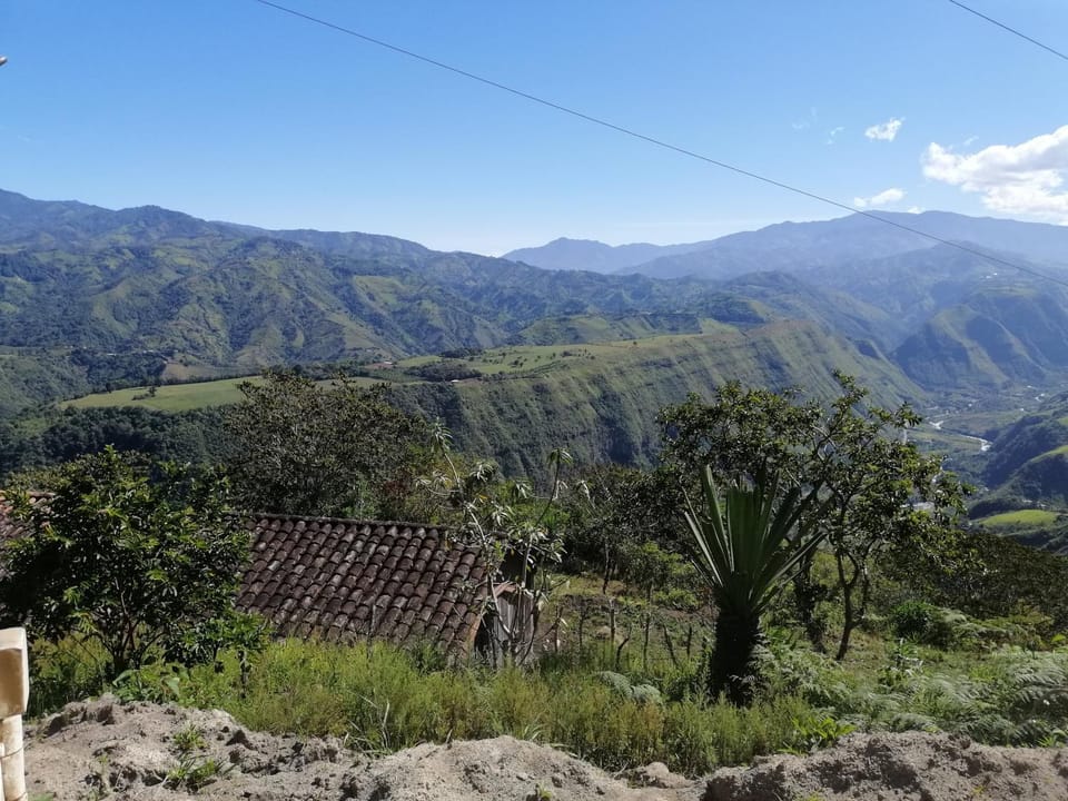 Mountain view