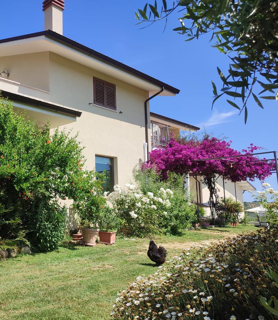 La Casa Di Stefania Apartment in Abruzzo
