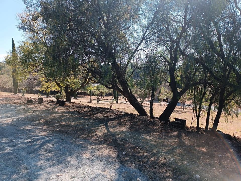 Natural landscape