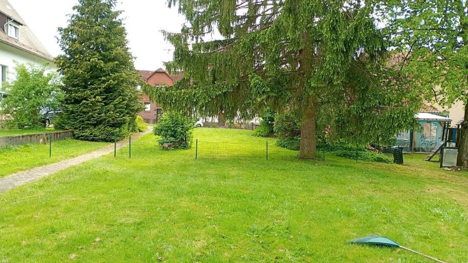 Natural landscape, Garden view